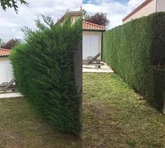 Travaux de construction et entretien