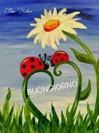 Pin Di Emy Cali Su Dino Ok Dipingere Fiori Dipingere Idee Buongiorno Fiori