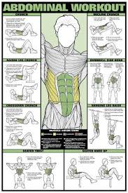 Abdominal Workout Wall Chart Professional Fitness Training