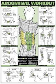 abdominal workout wall chart professional fitness training