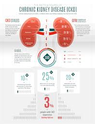 The Kidney Failure Risk Equation