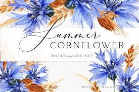 All png & cliparts images on nicepng are best quality. Summer Cornflower Blue Watercolor In Creative Store On Yellow Images Creative Store