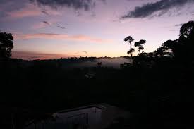 The Lodge Ecuador Amazon Lodge Amazon Lodge Ecuador Lodge