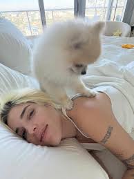 Se Viene: Camilo y Elena Rose en Guerreros de la Luz