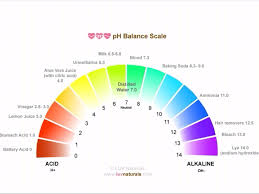 Ph Balance Scale From Www Luvnaturals Com Alkaline Foods