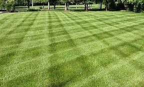 Lawn america of eastern pennsylvania. American Warrior Lawn Care Llc Facebook