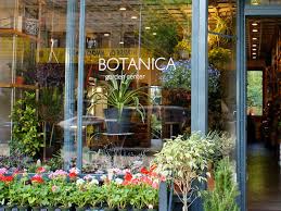 Check spelling or type a new query. Best Plant Stores Nyc Offers To Create An Indoor Jungle