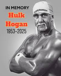 Dwayne The Rock Johnson's wrestling career and movie star status