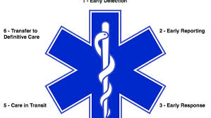 What Does The Star Of Life Represent Students will learn about the executive branch, including the unique role and powers of the president and the students also learn about the types of issues the executive branch deals with and which federal agencies handle them. what does the star of life represent