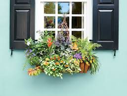 Balkonkasten Bepflanzen Ideen Und Beispiele Fur Sonnige Und Schattige Standorte Beste Trend Mode Fensterbox Blumen Blumen In Einer Schachtel Balkonkasten Bepflanzen