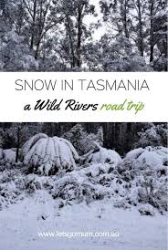 We Went For A Road Trip Around Tasmania And Got Caught In A Major Blizzard Whilst Driving Through The Mountains Of The Worl Tasmania Road Trip Trip Road Trip