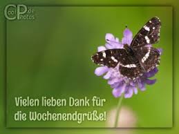 Liebe samstagsgrüße, genieß das wochenende in vollen zügen! Coolphotos De Grusskarten Danke Fur Die Samstagsgrusse