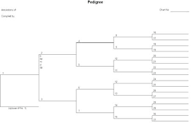 Five Generation Pedigree Chart Com Pedigree Template