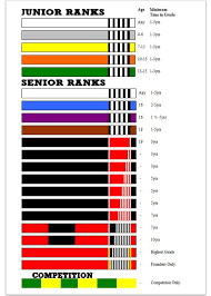 For each belt after white belt students are awarded three different versions of each colored belt: Belt Rankings Jiu Jitsu Belts Kids Jiu Jitsu Brazilian Jiu Jitsu Belts