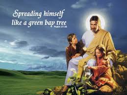 Jesus wallpaper words wallpaper bible verse wallpaper bible words in tamil bible quotes bible verses sibu scripture pictures bible promises. Jesus Calls Wallpapers Wallpaper Cave