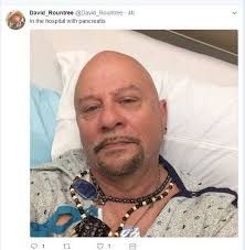 The Null Hypothesis.: David Rountree: What You Need To Know.