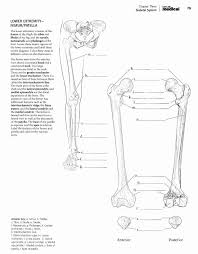 49 anatomy and physiology coloring pages free anatomy and. Kaplan Anatomy Coloring Book Beautiful Anatomia Dibujos Anatomy Coloring Book Coloring Books Mandala Coloring Books