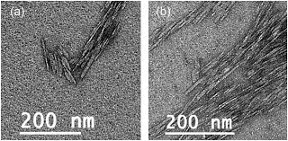 Shop.alwaysreview.com has been visited by 1m+ users in the past month Current Characterization Methods For Cellulose Nanomaterials Chemical Society Reviews Rsc Publishing Doi 10 1039 C6cs00895j
