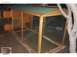 Guvercin Kumesi Sahibinden Comda 781696575