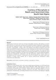 Image result for Linderniella trichotoma