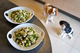 Voici Une De Nos Recettes De Ration Menagere Pour Chien Particulierement Simple Et Rapide A Realiser Car Elle Recettes Pour Chien Alimentation Animale Recette