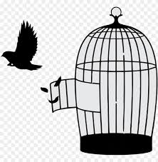 bird out of cage png image with transparent background toppng bird out of cage png image with