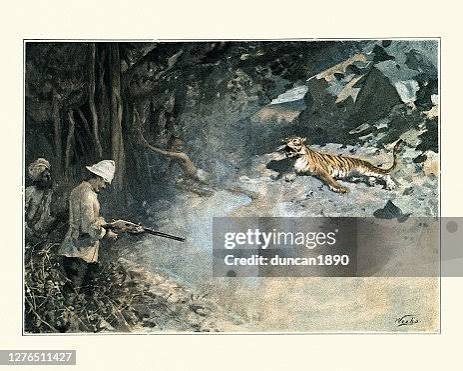 Victorian Big Game Hunter Shooting A Tiger India 19th Century High-Res Vector Graphic - Getty Images