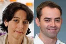 NYSCF Innovators Find Clues to Stem Cell Life and Death