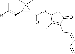 May 18, 2021 · you can opt for a pure pyrethrin spray such as pyganic, or you can choose a spray with other active ingredients such as safer brand home and garden spray. Pyrethrin Wikipedia