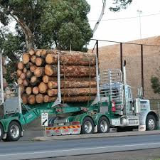 Looking forward to the future of conservation. Stream Episode 21 Re Imagining The Log And Woodchip Export Supply Chain For Improved Efficiencies By Woodchat Listen Online For Free On Soundcloud
