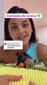 Castração do Neneco: Dicas e Cuidados para Porquinhos