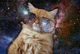Cosmo Cool Cat Wallpaper Cat Shower Curtain Space Cat Cat Bath