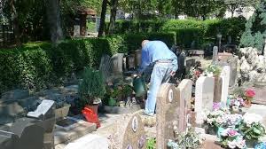 We did not find results for: Kampanya Beyazmasa Ibb Gov Tr Tuzla Hayvan Mezarligi Sahiplerine Bilgi Verilmeksizin Yikiliyor Change Org