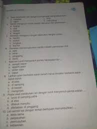 Dec 04, 2020 · untuk melatih kekuatan otot lengan, bahu, dan dada, ada beberapa gerakan yang dapat kamu lakukan. Gerak Mengayun Untuk Melatih Kekuatan Dan Pelemasan Brainly Co Id