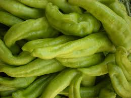 Image result for Capsicum baccatum