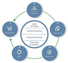 This cycle in procurement procedure occurs in series of steps as follows. The 5 Stages Of Procure To Pay P2p Automation