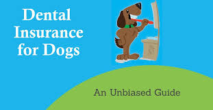 Pet insurance companies that cover dental diseases what dental treatments aren't covered by pet insurance? Dental Insurance For Dogs An Unbiased Guide