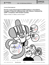 Submissions with major revision from the june 2020 cycle should be submitted in this cycle. Chemistry A European Journal Vol 25 No 70 Chemistry Europe