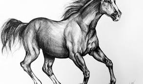 How to draw a 1968 mustang. Realistic Mustang Horse Drawing