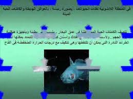 شرح درس الأنظمة البيئية المائية الأحياء علمي الثالث الثانوي العلمي والأدبي نفهم