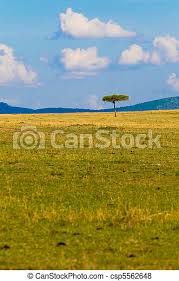 Große auswahl an african films. African Landscape Stock Photo Images 56 232 African Landscape Royalty Free Pictures And Photos Available To Download From Thousands Of Stock Photographers