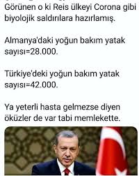 Reis Panosundaki Pin