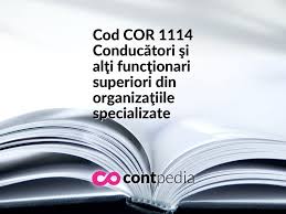 Pentru o persoana care nu reprezinta in instanta si pentru o persoana fara experionta (fara sa fie inscrisi in colegiul consilierilor juridice ) ce cod cor putem folosi ? Cod Cor 1112 InalÅ£i ConducÄƒtori Ai AdministraÅ£iei Publice