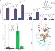 substrate promiscuity of oe1 3 and engineering of an