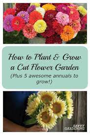 Drying flowers allows you to preserve the beauty of a flower and use them in a variety of other items like soap and cardstock. How To Plant Grow A Cut Flower Garden Plus 5 Flowers To Get Started