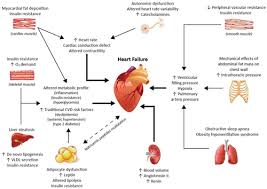 It's a medical problem that increases the risk of other diseases and health problems, such as heart disease, diabetes, high blood pressure and . Obesity And Cardiovascular Disease A Scientific Statement From The American Heart Association Circulation