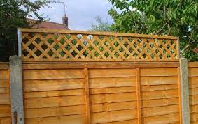 Maybe you would like to learn more about one of these? 8 Cheap Fencing Ideas Inspiration For The Frugal Gardener In 2021