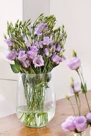 Lisianthus Piccolo In 2020 Lisianthus Flowers Peach Blossoms