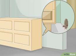 Are mice invading your home? 3 Ways To Get A Mouse Out Of The House Wikihow Life