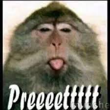  Pin Oleh Daniel Lengkong Di Foto Lucu Lucu Gambar Lucu Gambar